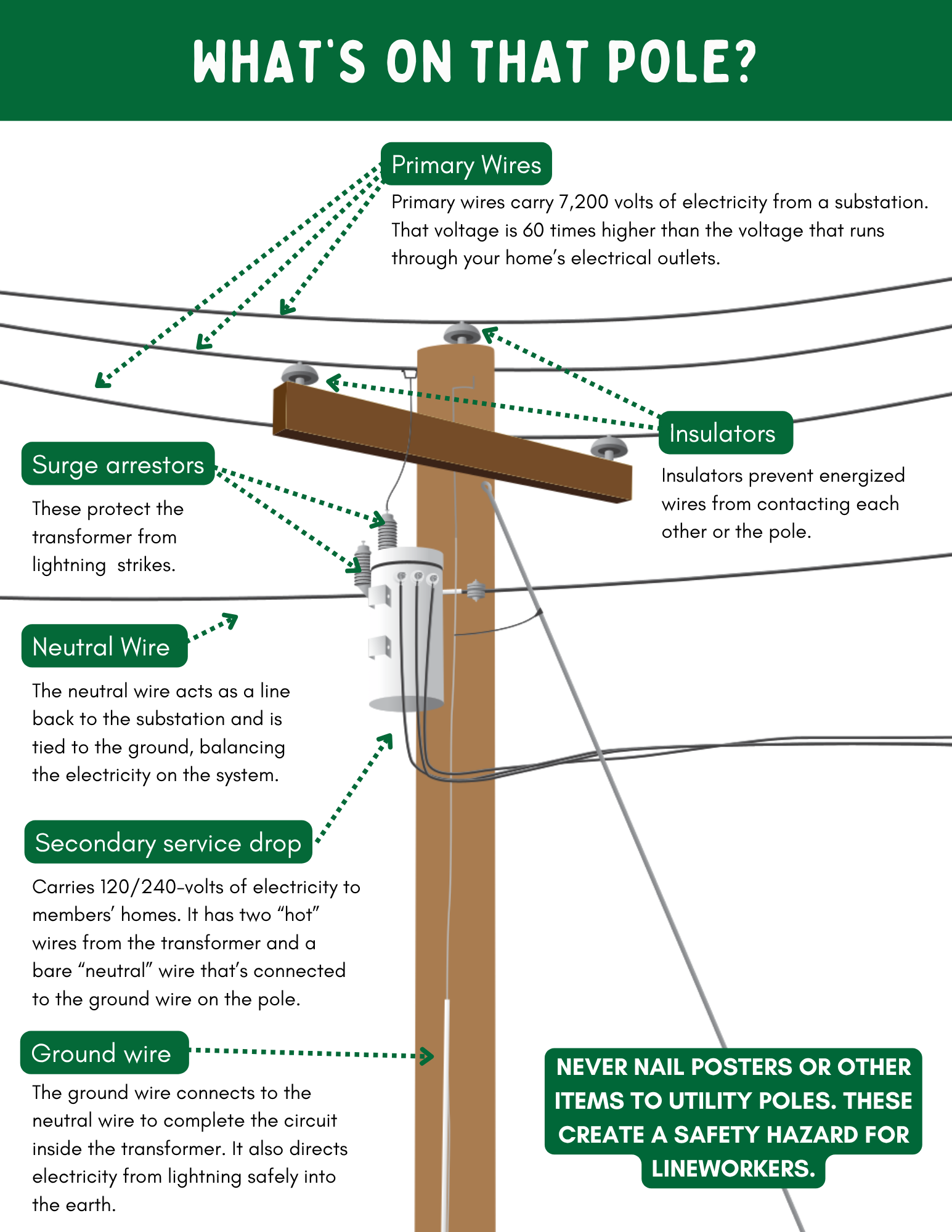 What's on that pole? 