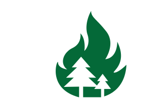Wildfire 